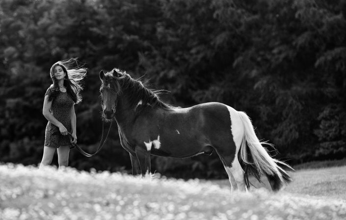 equine_photography_Horse_Fine art_Horse_Newbury_Berkshire